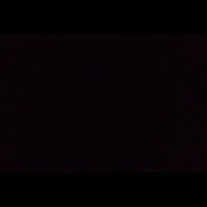 Meet your Posher, Anselmo